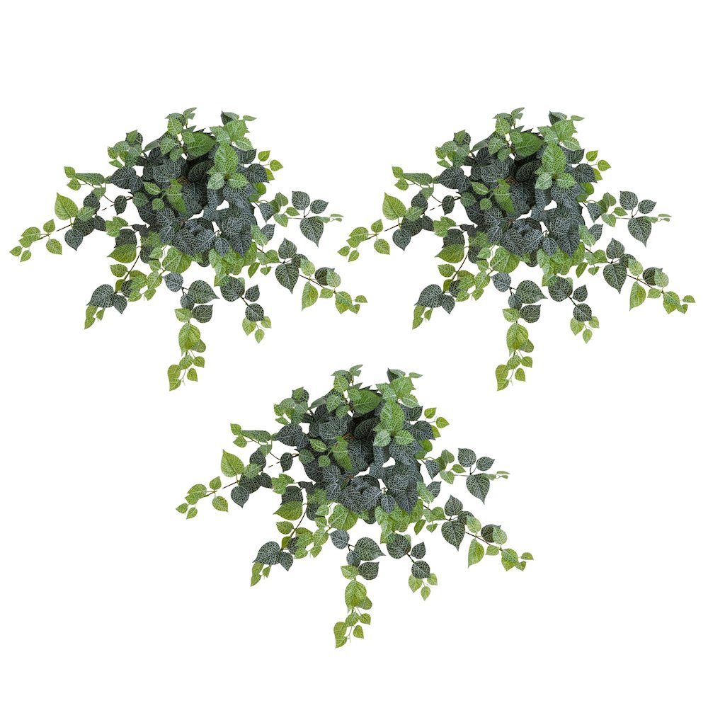 24in. UV Resistant Artificial Fittonia Hanging Plant (Indoor/Outdoor) - Set of 3. Picture 1