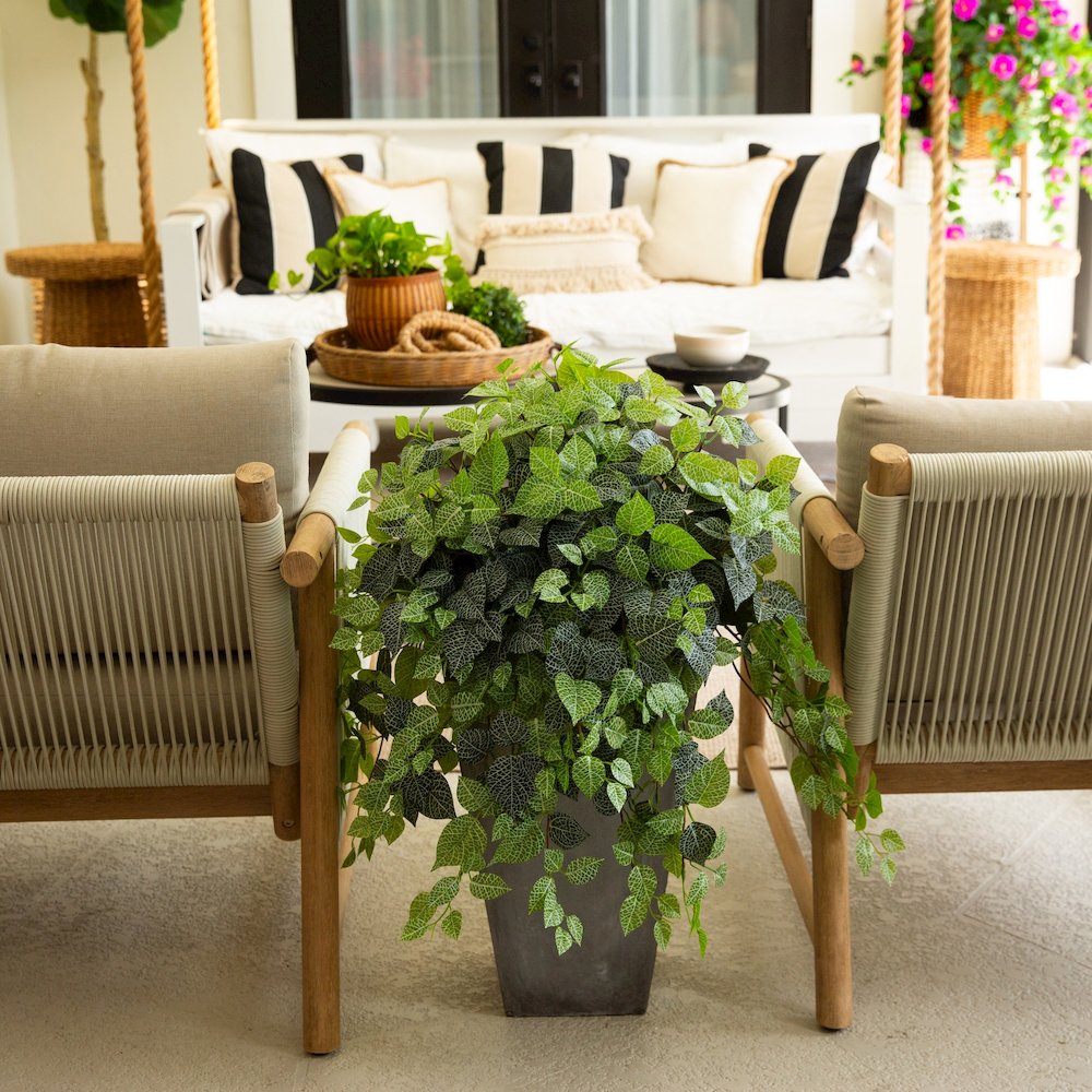 24in. UV Resistant Artificial Fittonia Hanging Plant (Indoor/Outdoor) - Set of 3. Picture 6