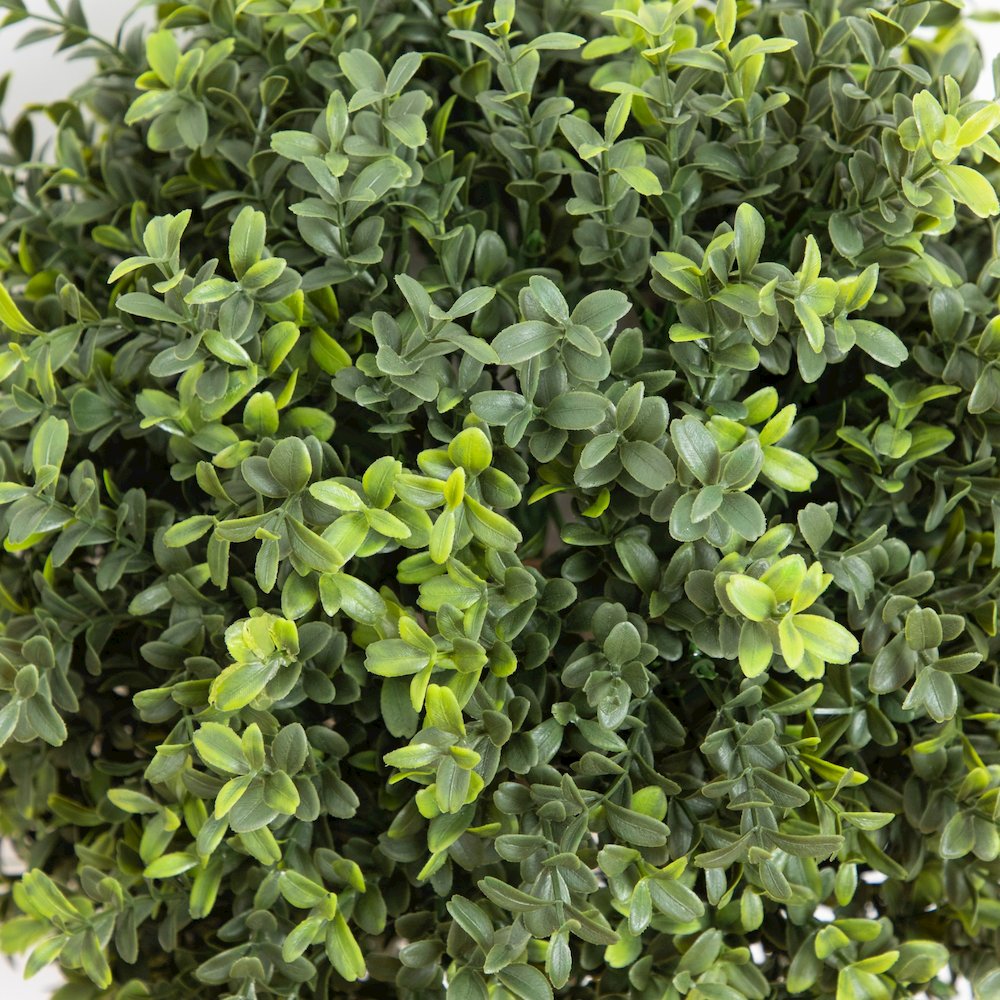 2ft. UV Resistant Boxwood Topiary with Ground Stake (Indoor/Outdoor) - Set of 2. Picture 4