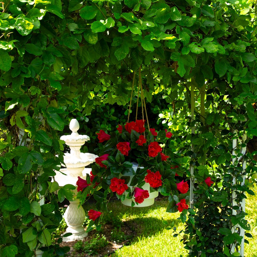 24in. UV Resistant Artificial Hibiscus Hanging Plant (Indoor/Outdoor) - Set of 2. Picture 7