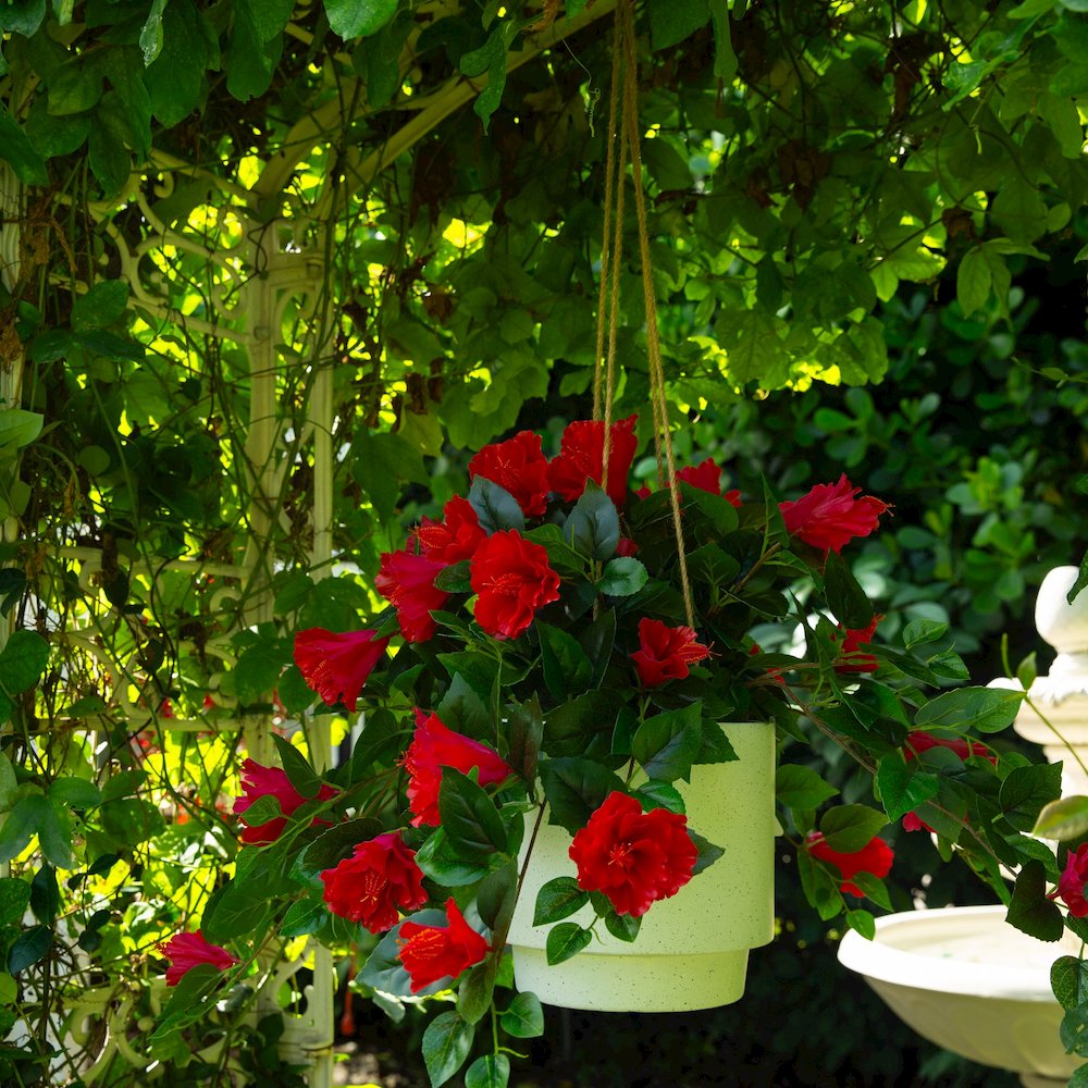 24in. UV Resistant Artificial Hibiscus Hanging Plant (Indoor/Outdoor) - Set of 2. Picture 8