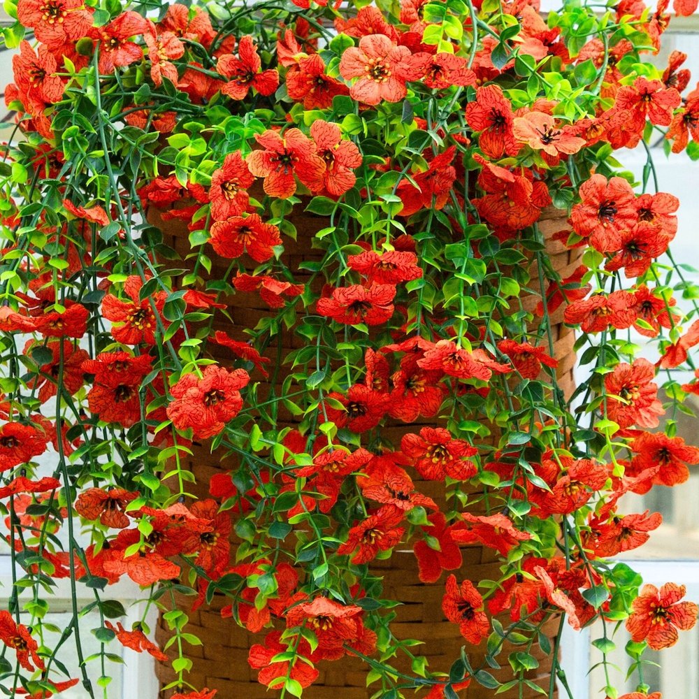 30in. UV Resistant Artificial Daisy Hanging Plant (Indoor/Outdoor) - Set of 6. Picture 5