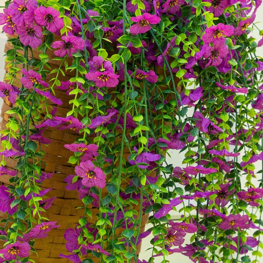 30in. UV Resistant Artificial Daisy Hanging Plant (Indoor/Outdoor) - Set of 6. Picture 5