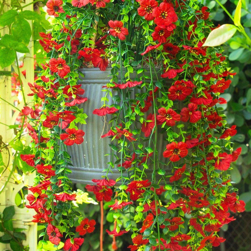 30in. UV Resistant Artificial Daisy Hanging Plant (Indoor/Outdoor) - Set of 6. Picture 10