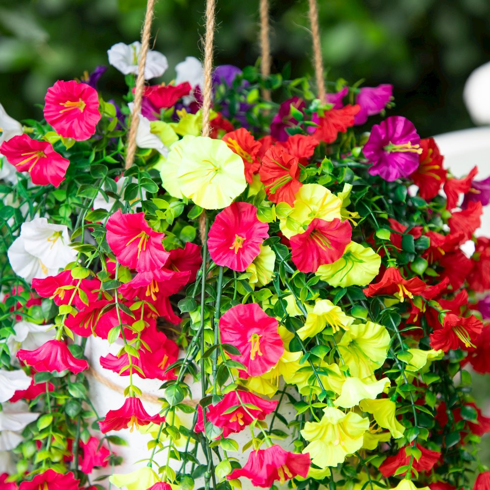 30in. UV Resistant Morning Glory Hanging Plant (Indoor/Outdoor) - Set of 6. Picture 5