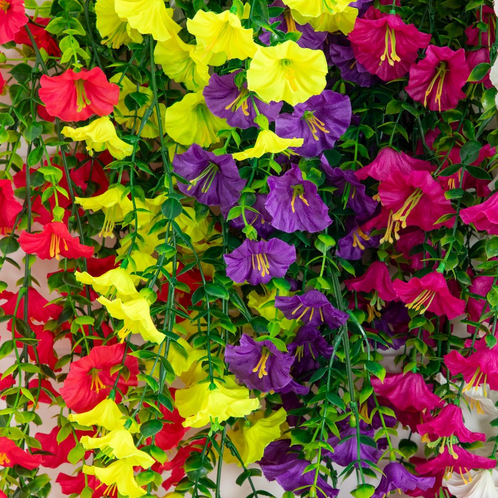 30in. UV Resistant Morning Glory Hanging Plant (Indoor/Outdoor) - Set of 6. Picture 4