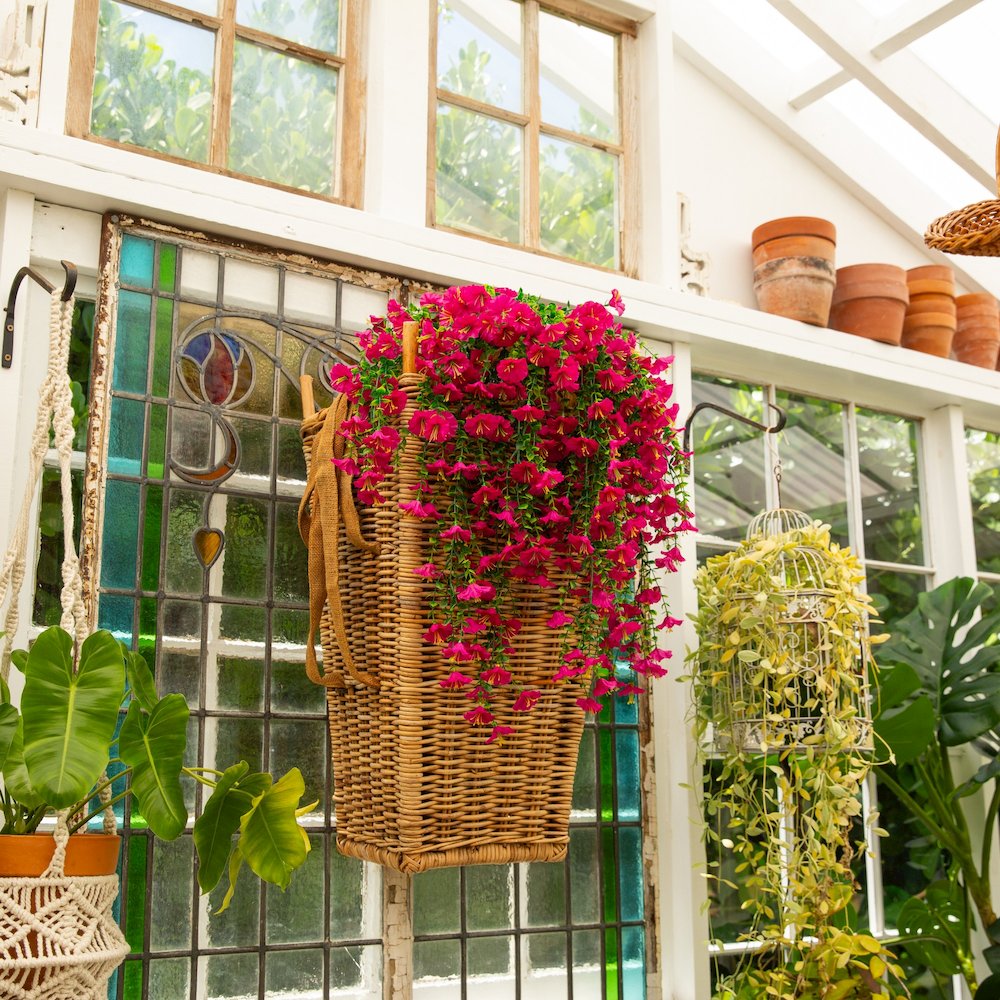 30in. UV Resistant Morning Glory Hanging Plant (Indoor/Outdoor) - Set of 6. Picture 6