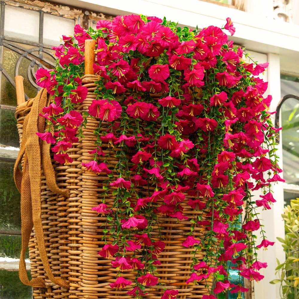 30in. UV Resistant Morning Glory Hanging Plant (Indoor/Outdoor) - Set of 6. Picture 7