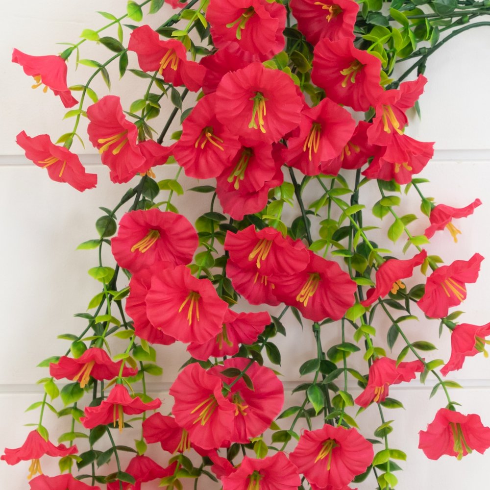30in. UV Resistant Morning Glory Hanging Plant (Indoor/Outdoor) - Set of 6. Picture 4