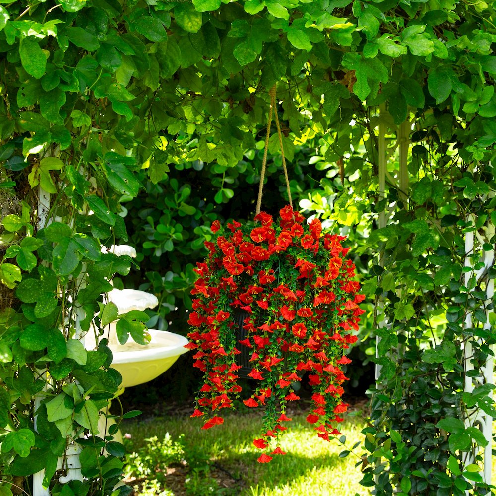 30in. UV Resistant Morning Glory Hanging Plant (Indoor/Outdoor) - Set of 6. Picture 6
