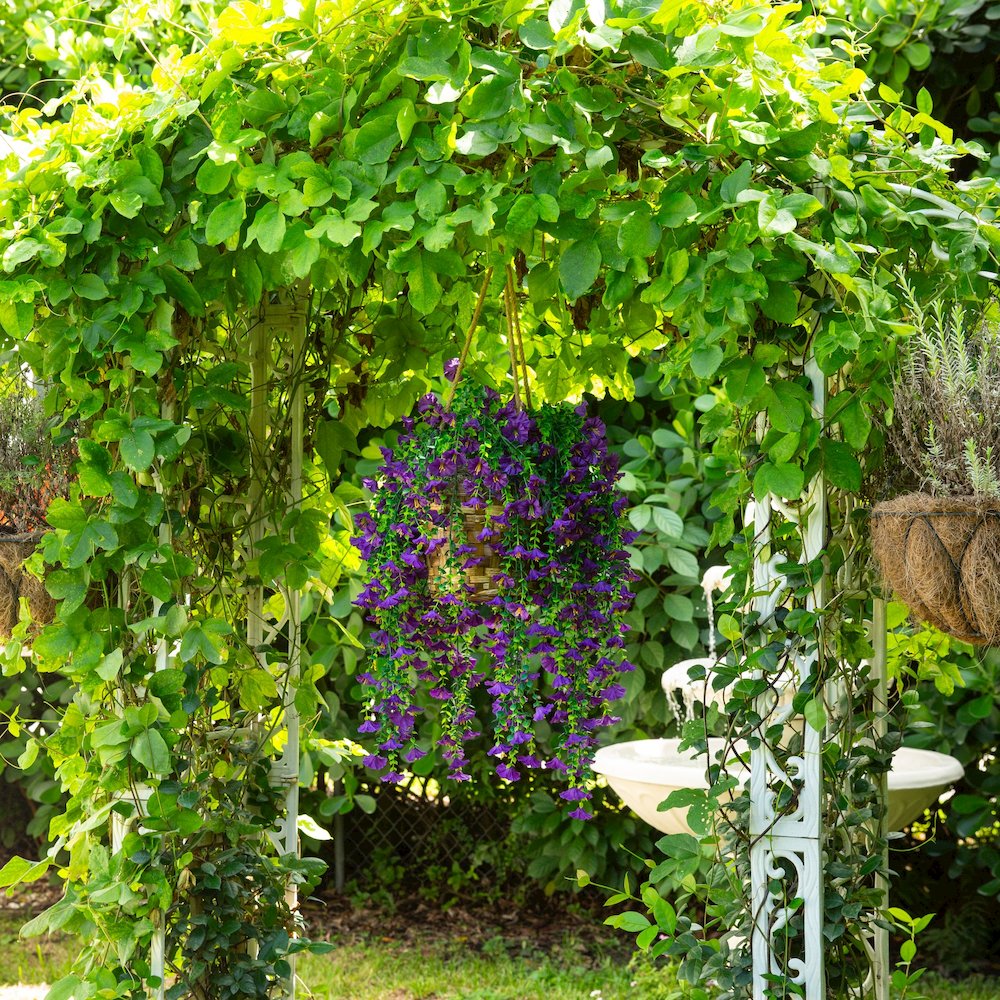 30in. UV Resistant Morning Glory Hanging Plant (Indoor/Outdoor) - Set of 6. Picture 7