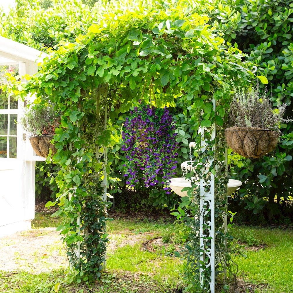 30in. UV Resistant Morning Glory Hanging Plant (Indoor/Outdoor) - Set of 6. Picture 8