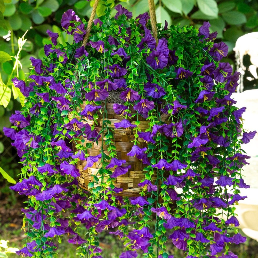 30in. UV Resistant Morning Glory Hanging Plant (Indoor/Outdoor) - Set of 6. Picture 9