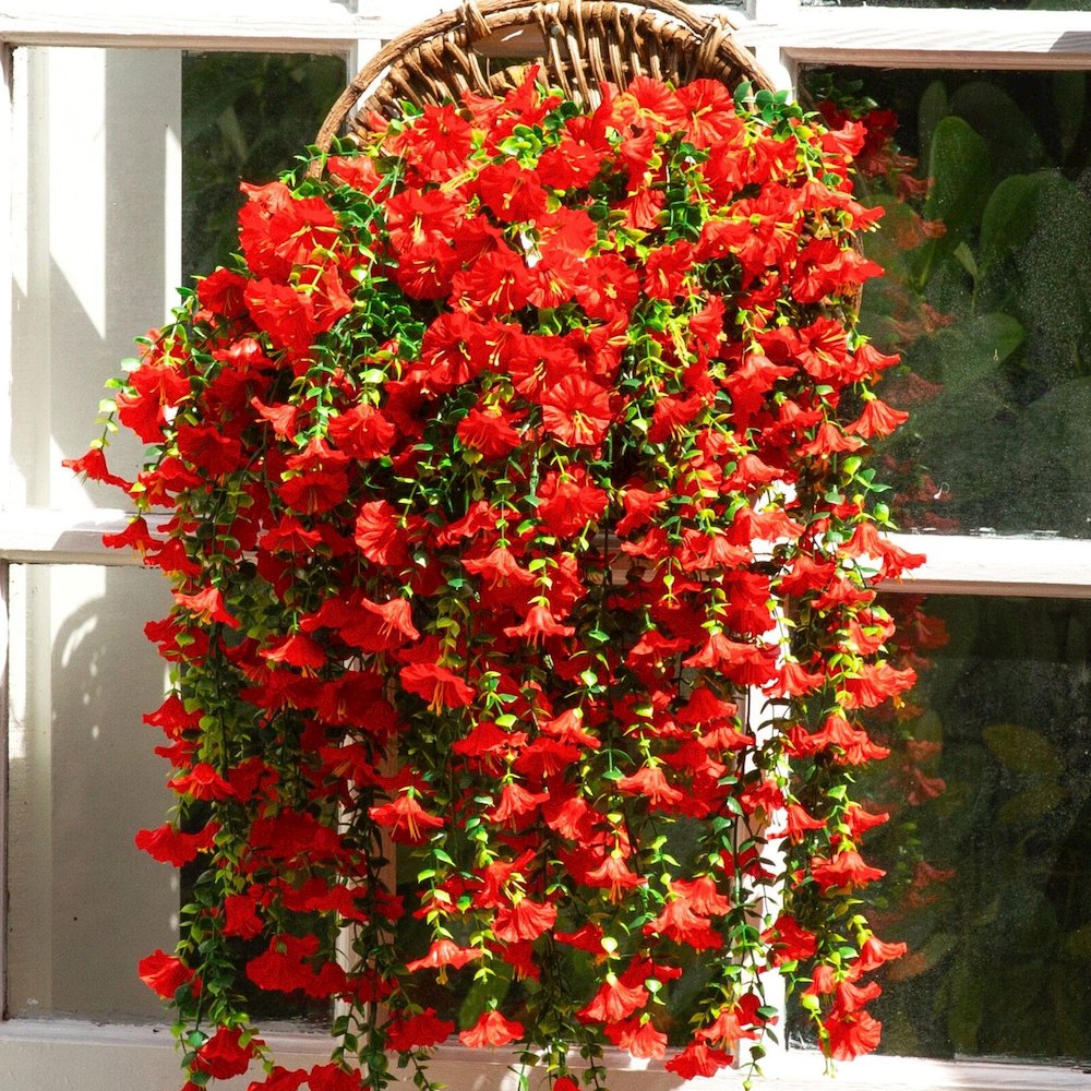 30in. UV Resistant Morning Glory Hanging Plant (Indoor/Outdoor) - Set of 6. Picture 7