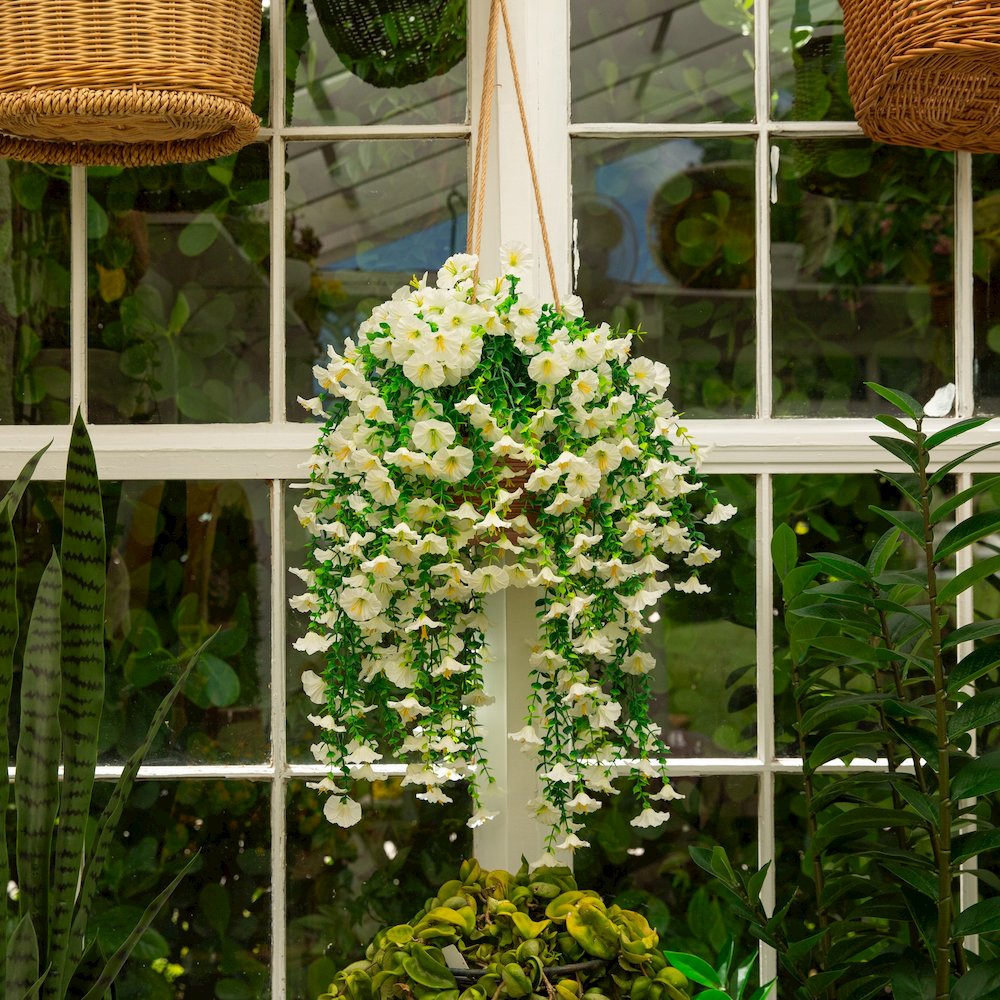 30in. UV Resistant Morning Glory Hanging Plant (Indoor/Outdoor) - Set of 6. Picture 6