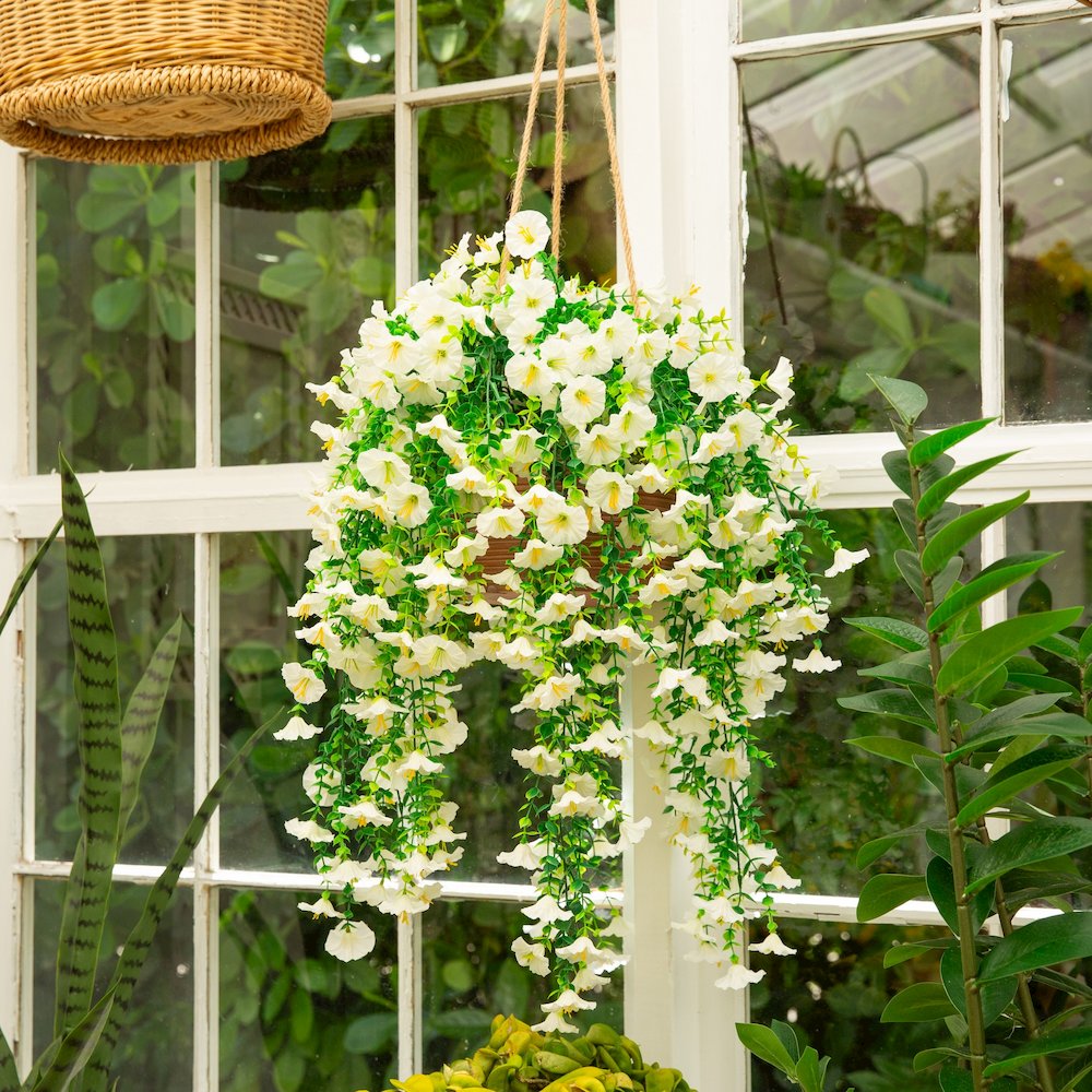 30in. UV Resistant Morning Glory Hanging Plant (Indoor/Outdoor) - Set of 6. Picture 9