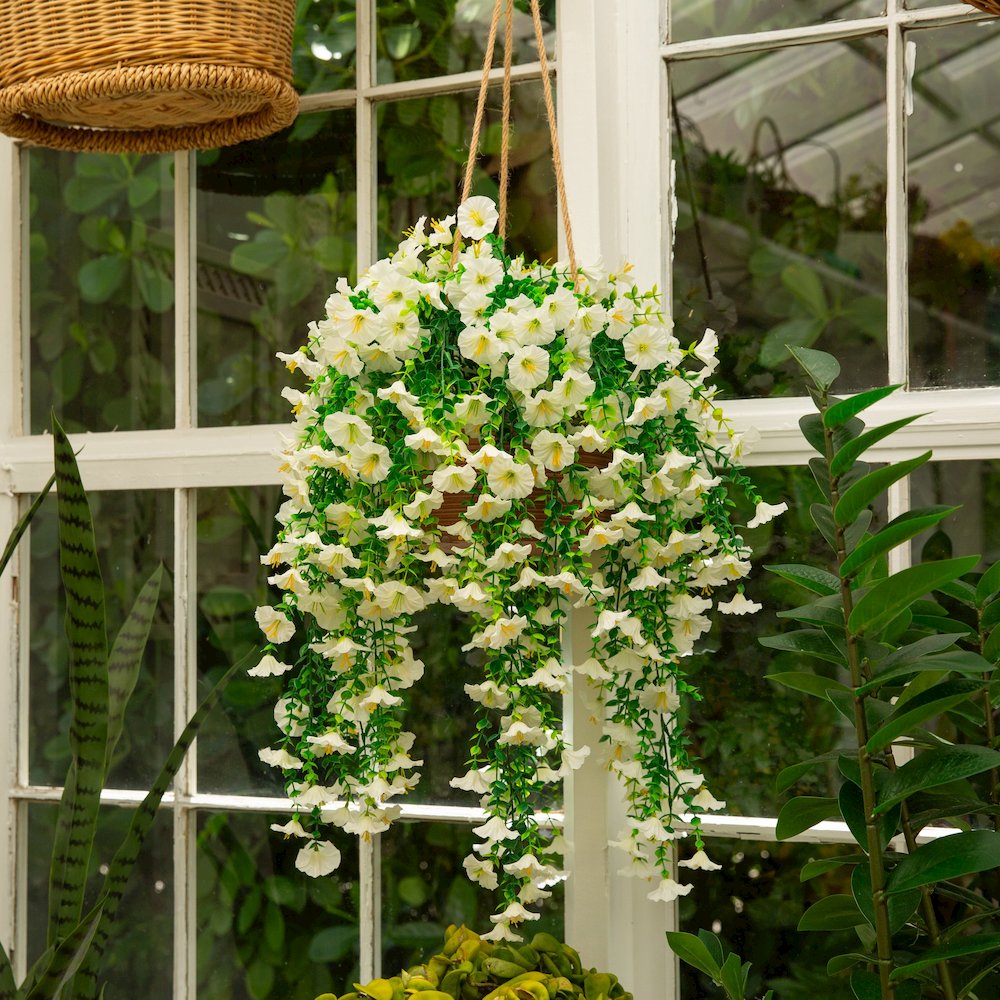 30in. UV Resistant Morning Glory Hanging Plant (Indoor/Outdoor) - Set of 6. Picture 7