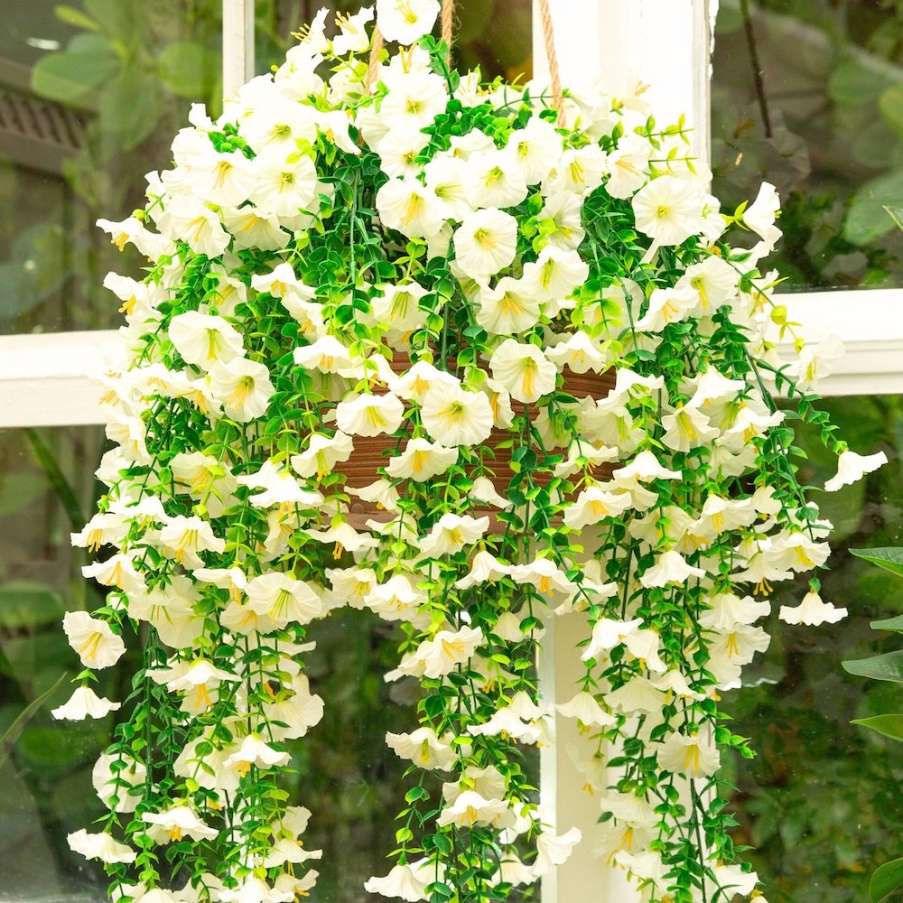 30in. UV Resistant Morning Glory Hanging Plant (Indoor/Outdoor) - Set of 6. Picture 8
