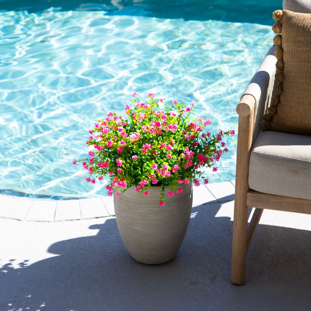 13in. UV Resistant Flowering Mini Rose Bush (Indoor/Outdoor) - Set of 12. Picture 7