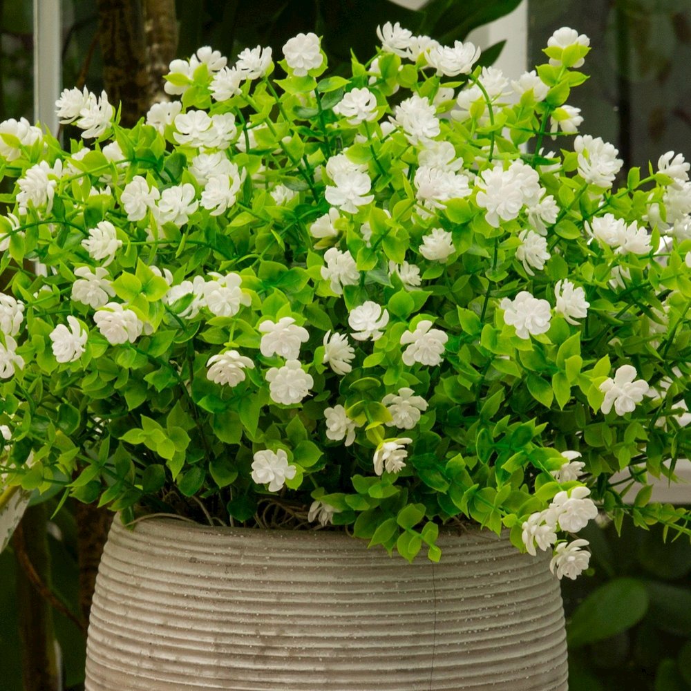 13in. UV Resistant Flowering Mini Rose Bush (Indoor/Outdoor) - Set of 12. Picture 5