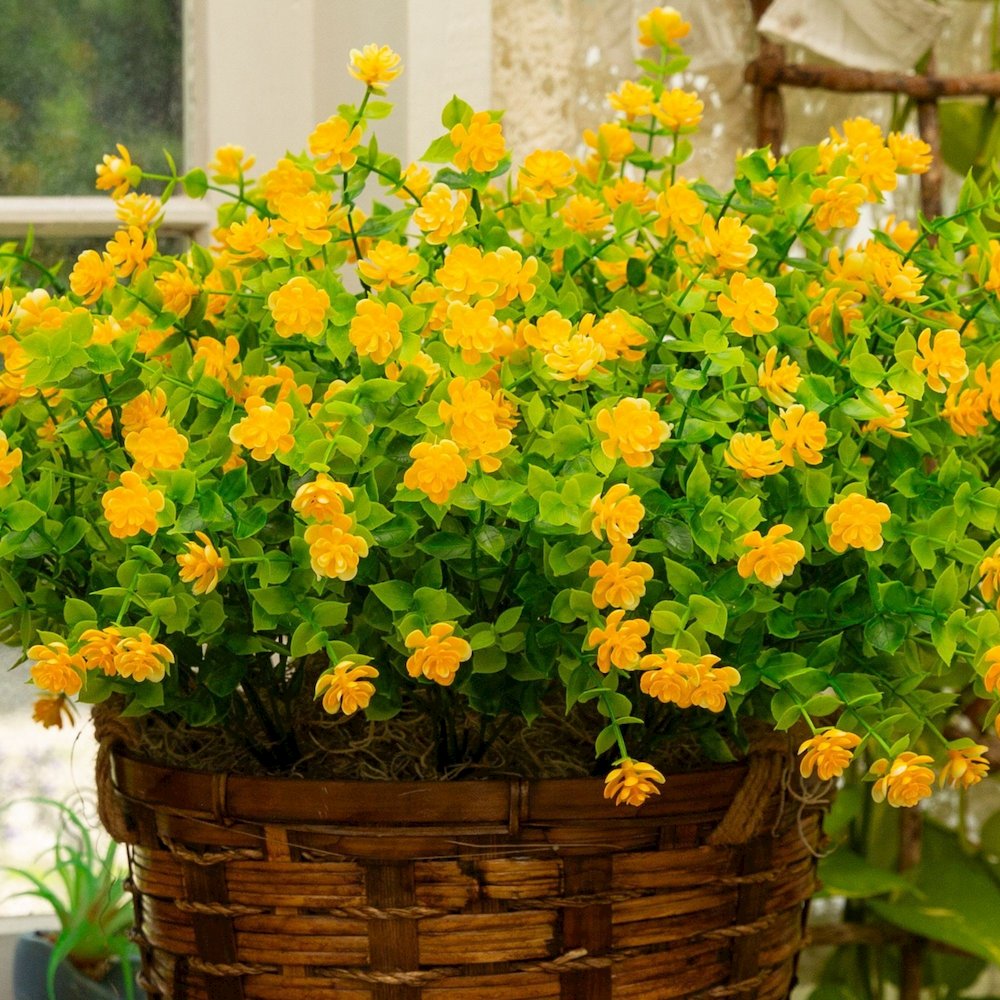 13in. UV Resistant Flowering Mini Rose Bush (Indoor/Outdoor) - Set of 12. Picture 5