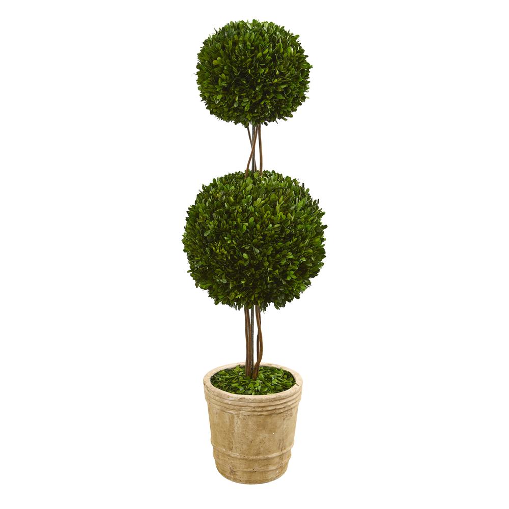 4ft. Preserved Boxwood Double Ball Topiary Tree in Planter. Picture 1