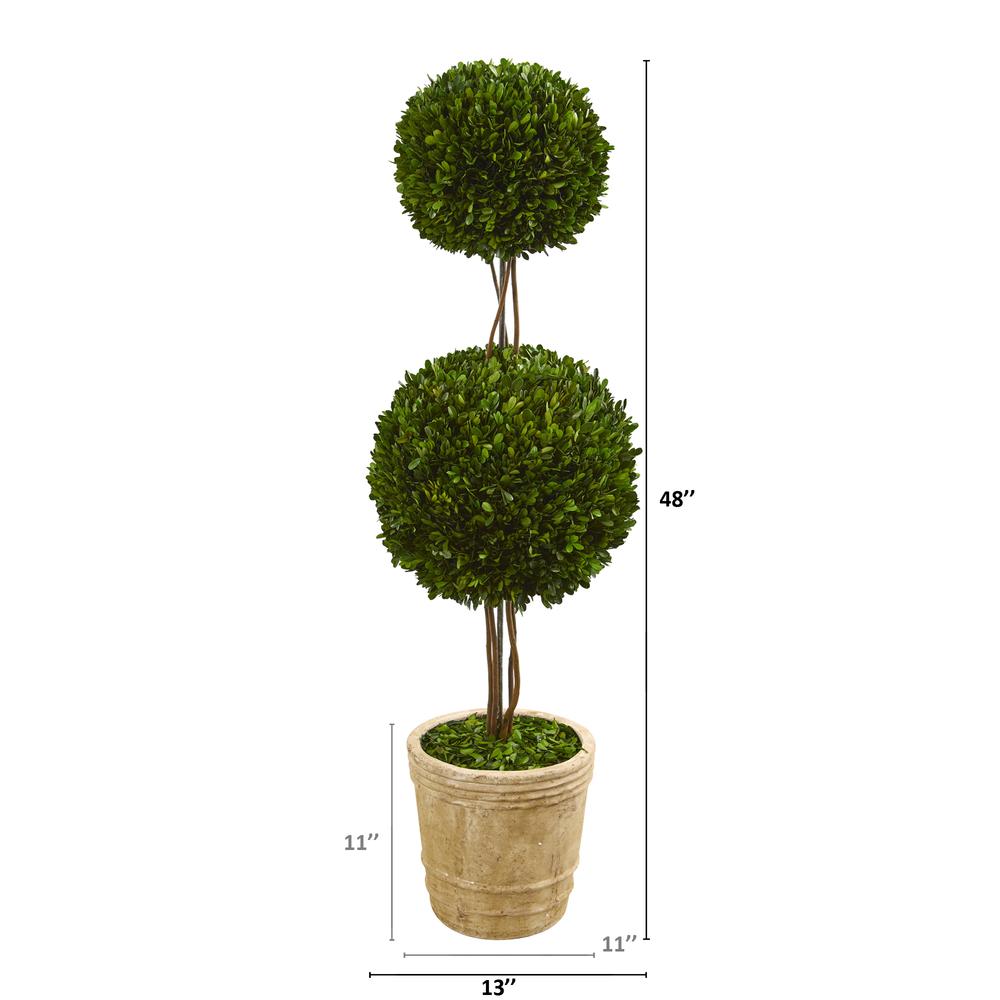 4ft. Preserved Boxwood Double Ball Topiary Tree in Planter. Picture 2