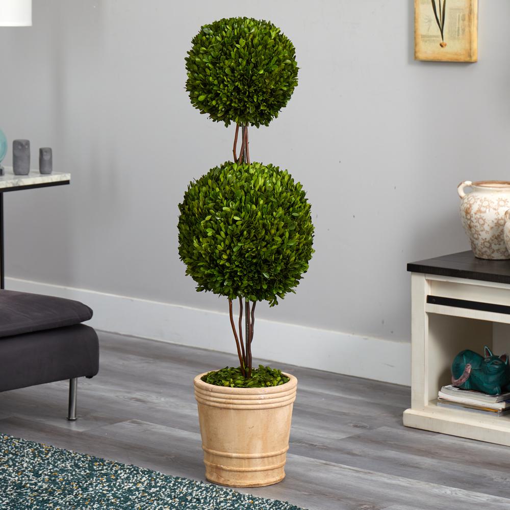 4ft. Preserved Boxwood Double Ball Topiary Tree in Planter. Picture 3
