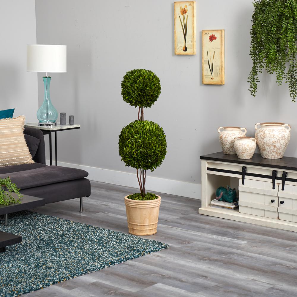 4ft. Preserved Boxwood Double Ball Topiary Tree in Planter. Picture 4