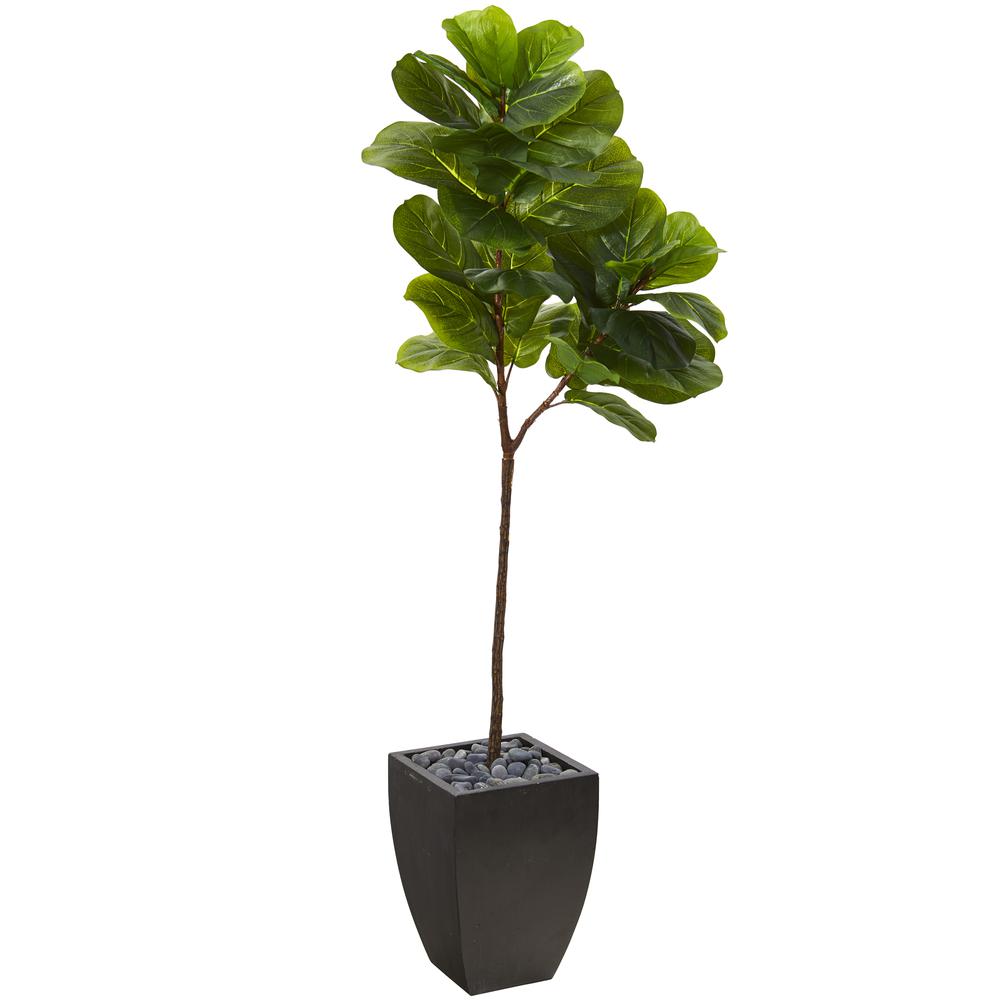 5.5ft. Fiddle Leaf Artificial Tree in Black Planter (Real Touch). Picture 1