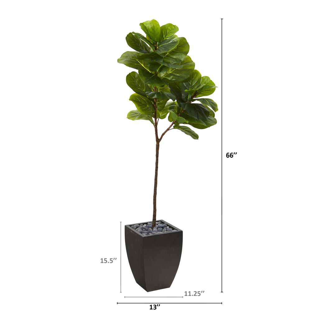 5.5ft. Fiddle Leaf Artificial Tree in Black Planter (Real Touch). Picture 3