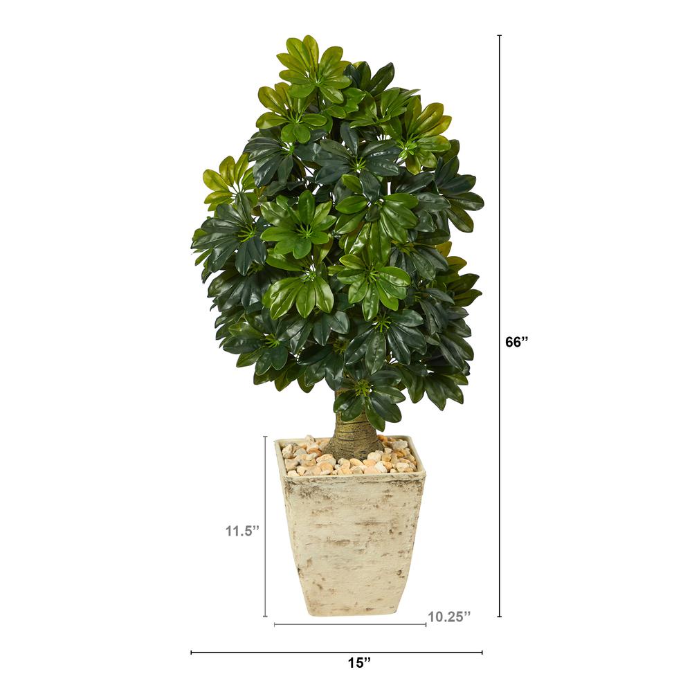 3.5ft. Schefflera Artificial Tree in Country White Planter (Real Touch). Picture 2