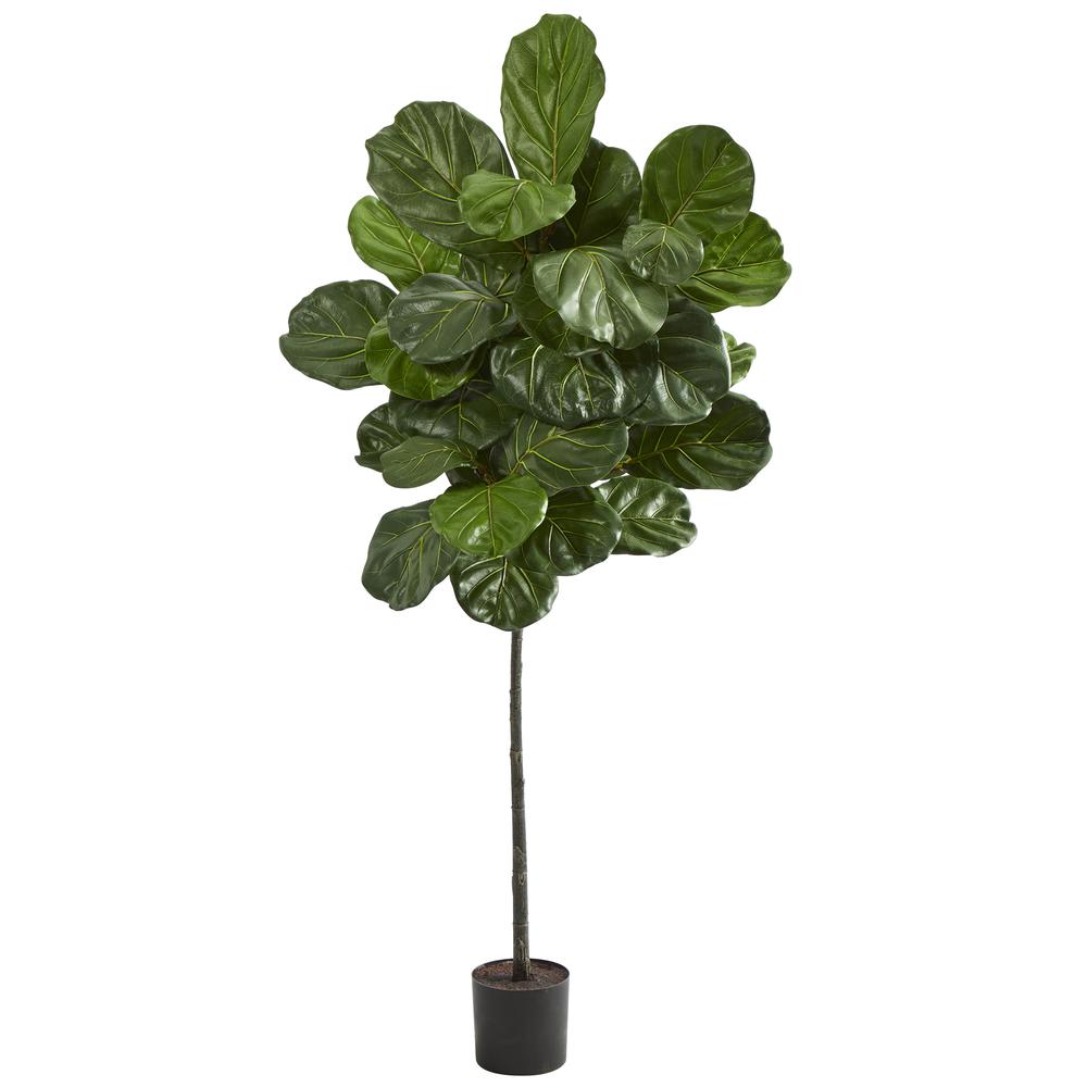 5.5ft. Fiddle Leaf Artificial Tree. Picture 1