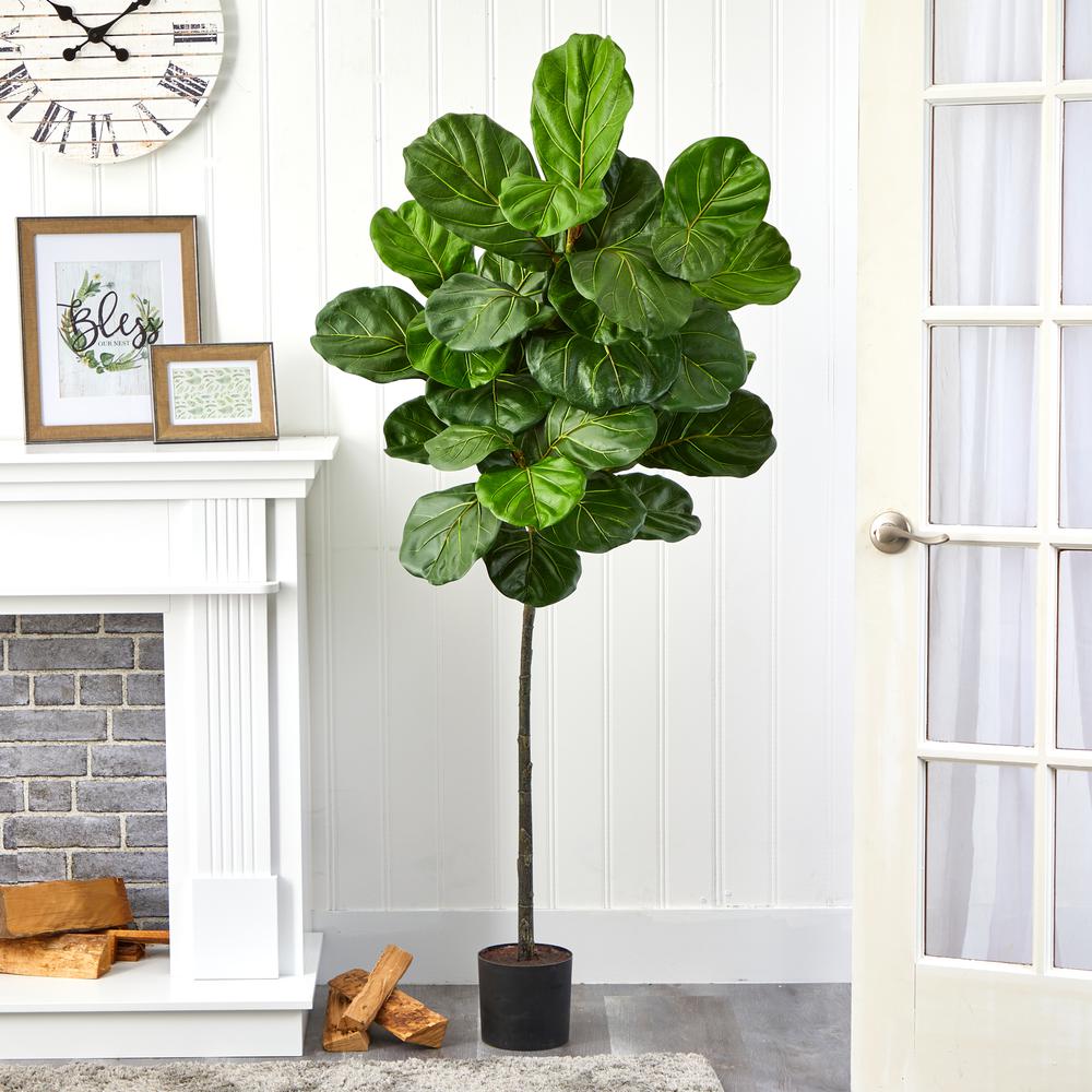 5.5ft. Fiddle Leaf Artificial Tree. Picture 2