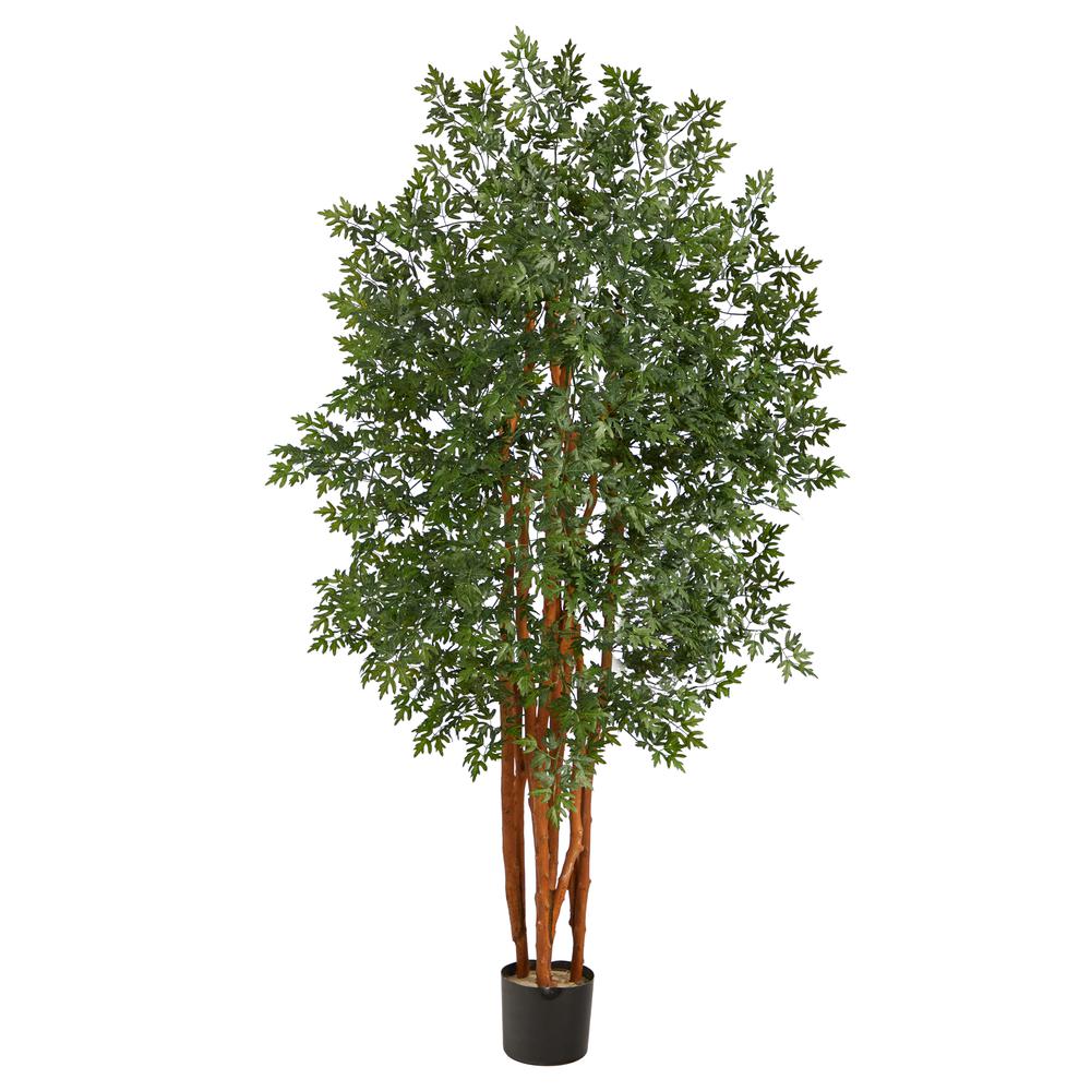 5ft. Aralia Artificial Tree. Picture 1