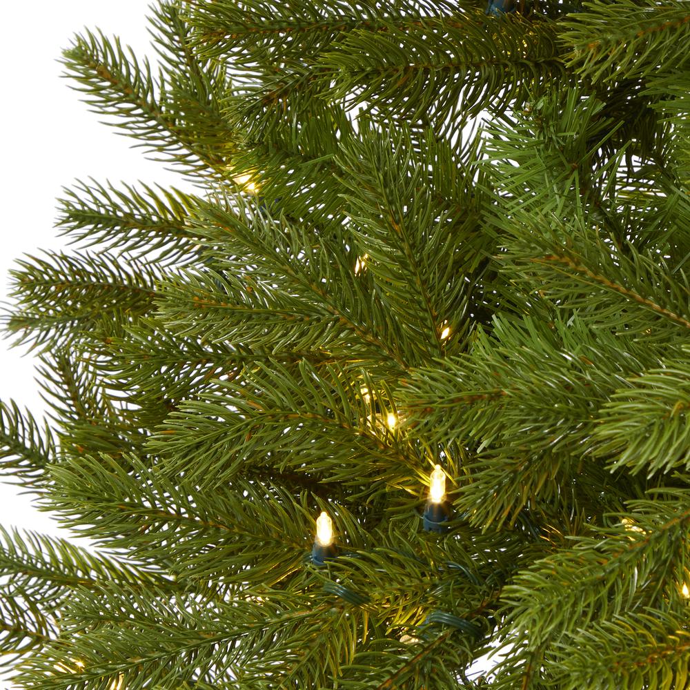 6ft. Cambridge Spruce Flat Back Artificial Christmas Tree with 350 Warm White (Multifunction) LED Lights and 642 Bendable Branches. Picture 3