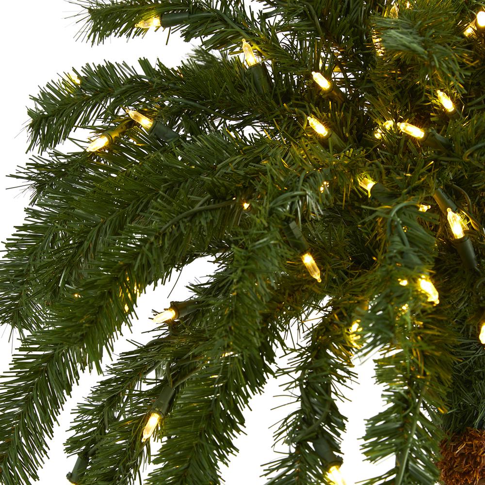6ft. Christmas Palm Artificial Tree with 200 Warm White LED Lights. Picture 3