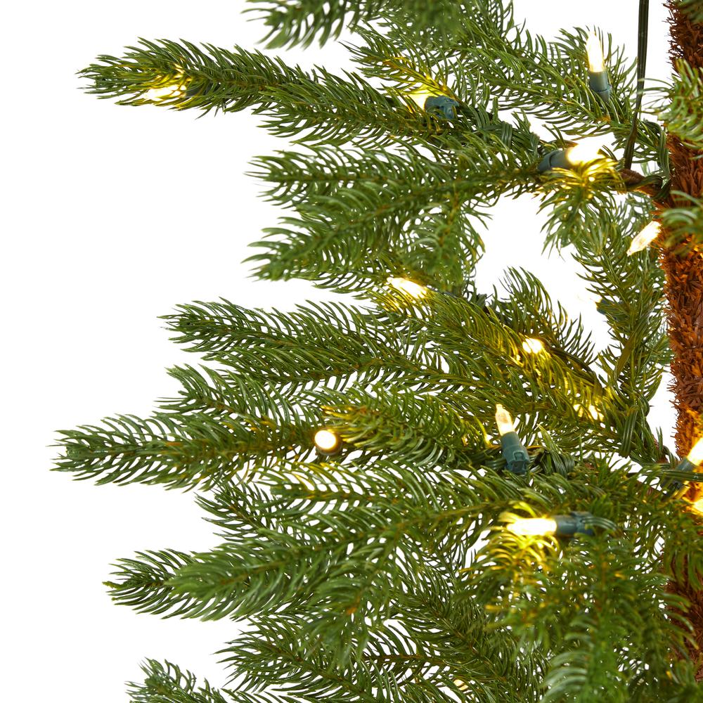6.5ft. Fairbanks Fir Artificial Christmas Tree. Picture 5