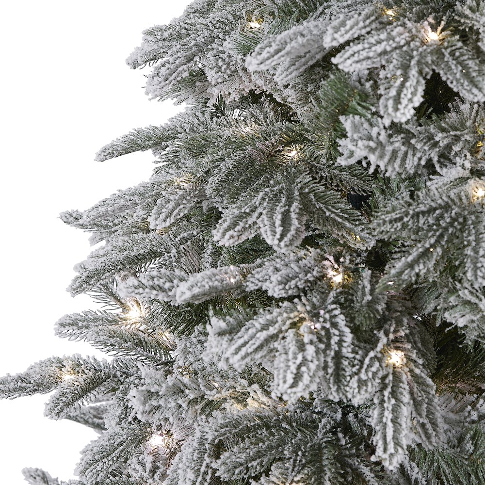 7ft. Flocked Colorado Mountain Fir Christmas Tree with 700 Warm LED Lights. Picture 3