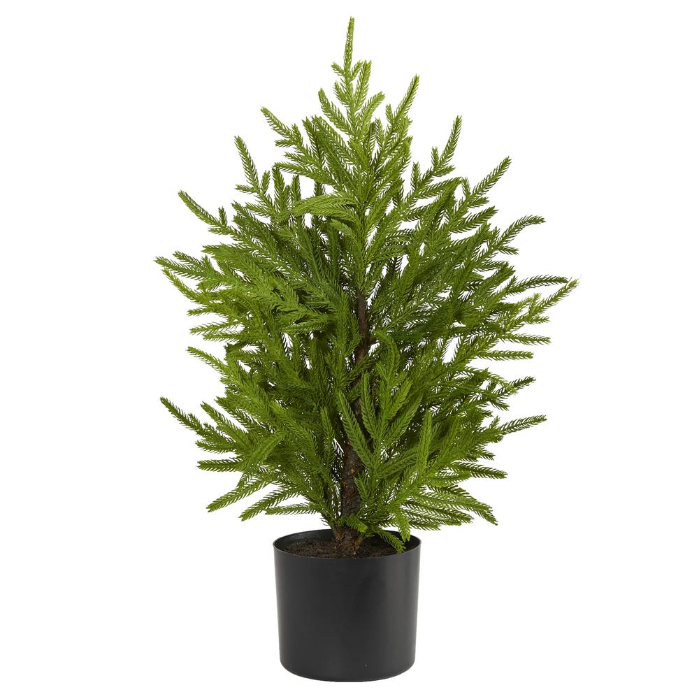 2ft. Norfolk Island Pine Natural Look Artificial Tree in Decorative Planter. Picture 1