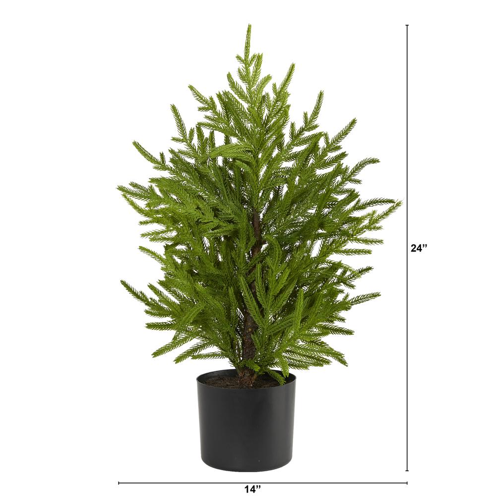 2ft. Norfolk Island Pine Natural Look Artificial Tree in Decorative Planter. Picture 2