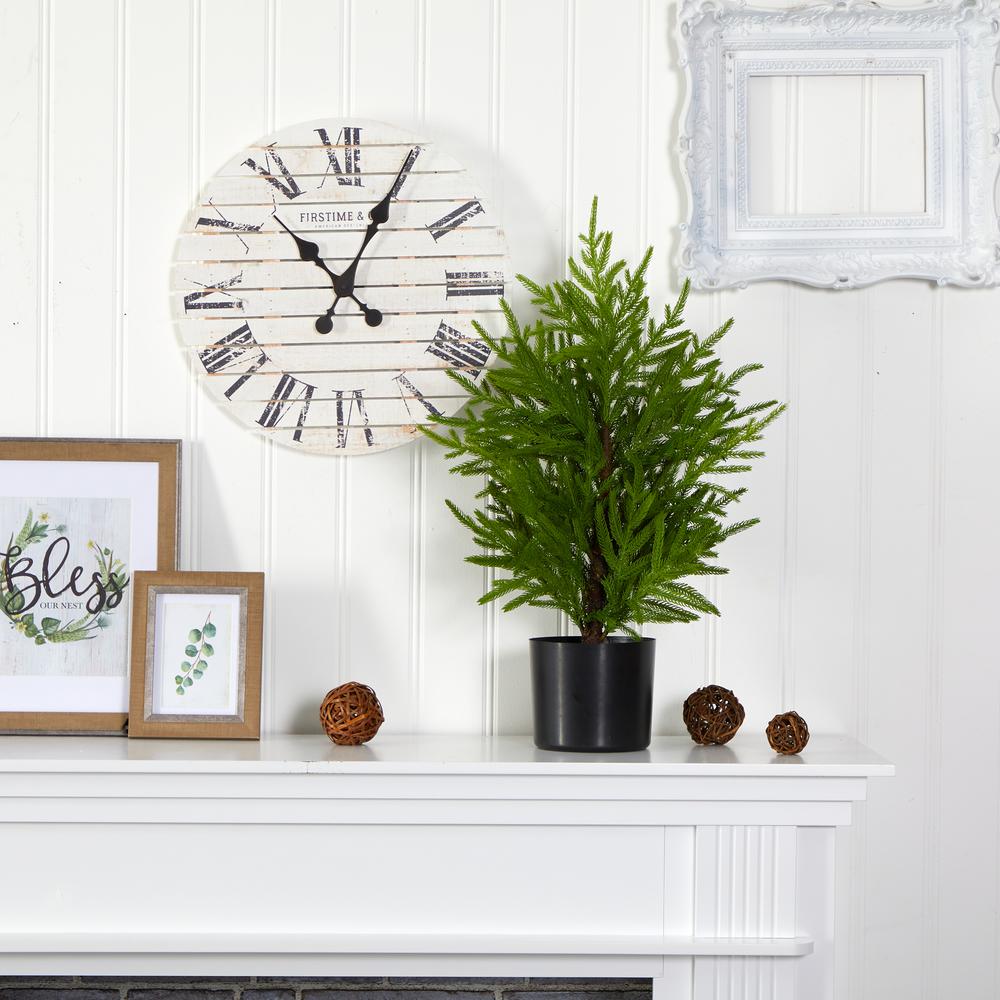 2ft. Norfolk Island Pine Natural Look Artificial Tree in Decorative Planter. Picture 3