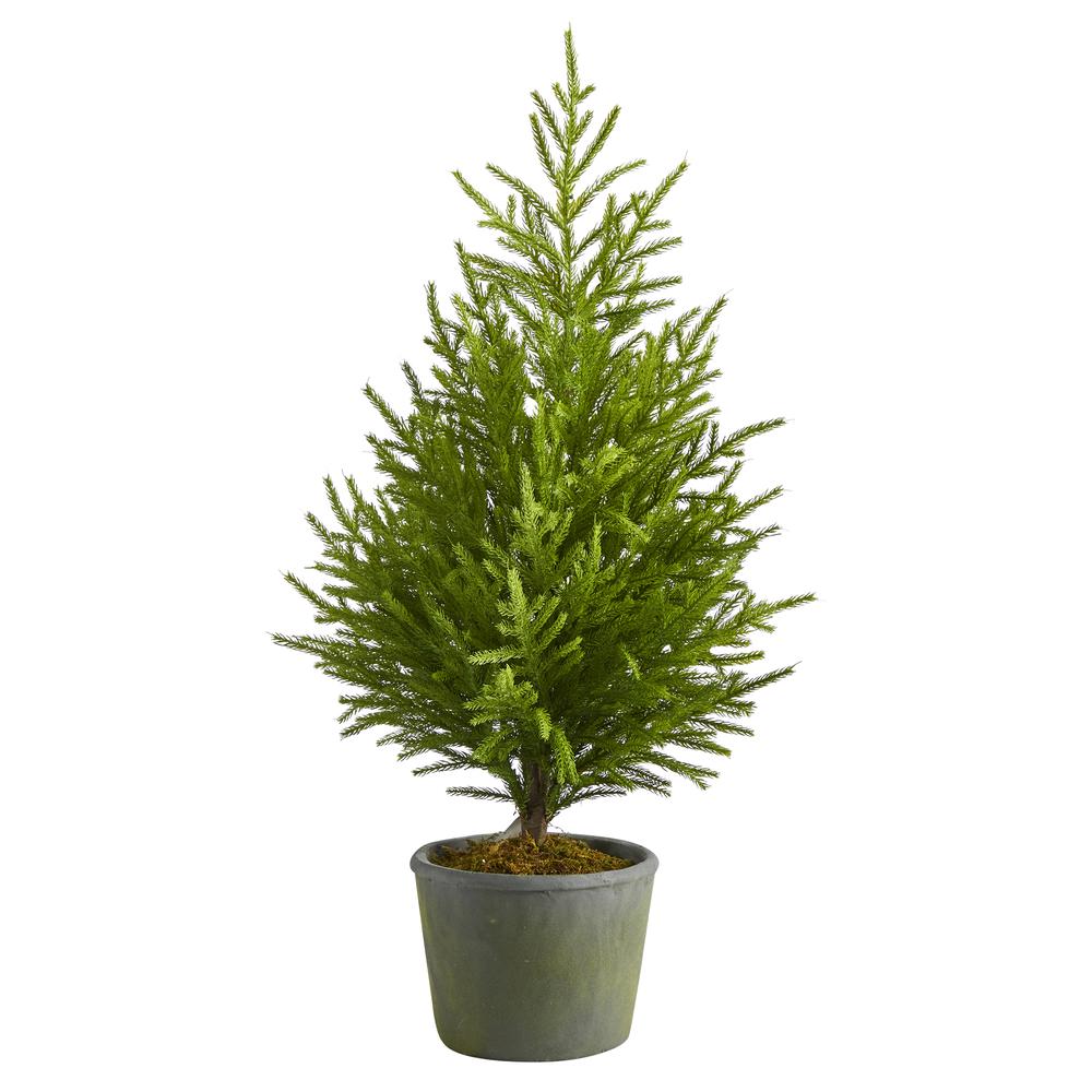 3ft. Norfolk Island Pine Natural Look Artificial Tree in Decorative Planter. Picture 1