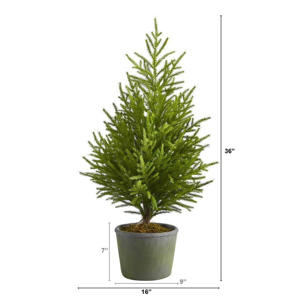 3ft. Norfolk Island Pine Natural Look Artificial Tree in Decorative Planter. Picture 2