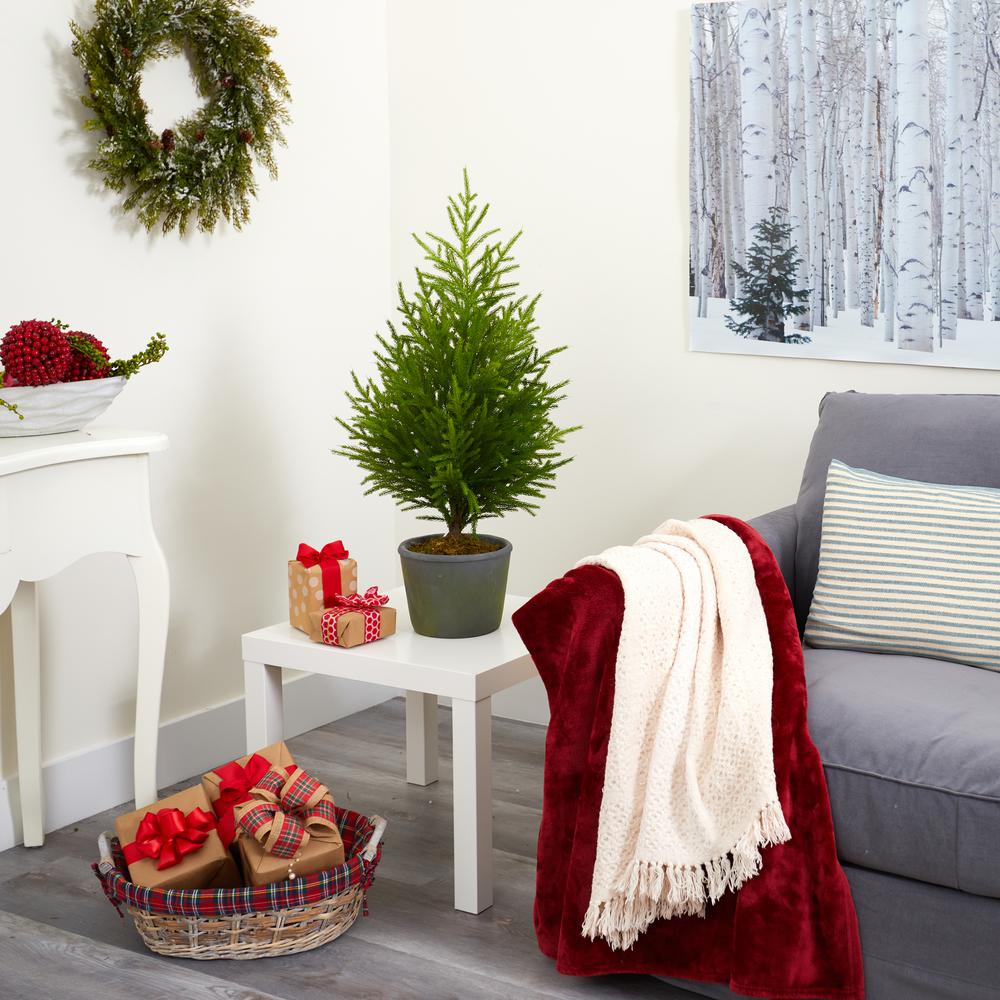 3ft. Norfolk Island Pine Natural Look Artificial Tree in Decorative Planter. Picture 4