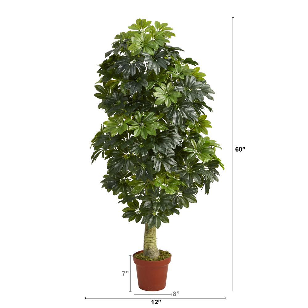 5ft. Schefflera Artificial Tree (Real Touch). Picture 2