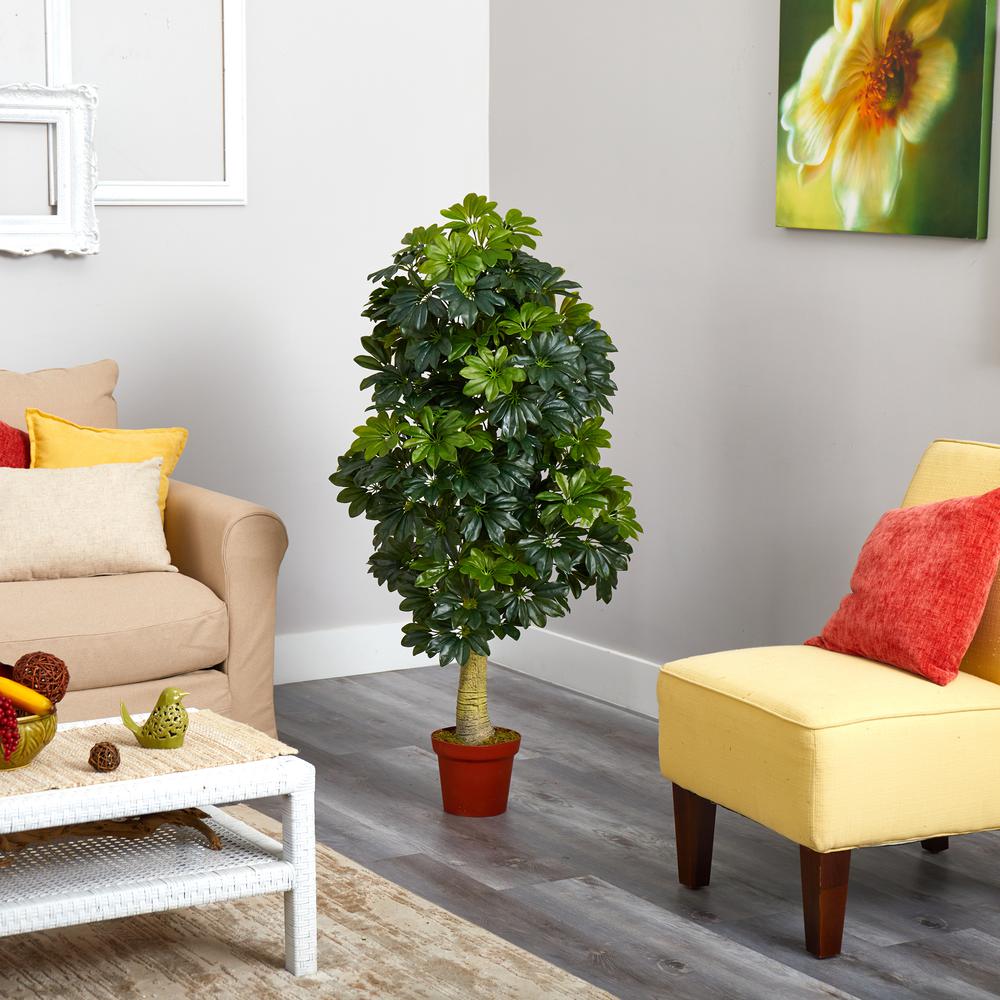 5ft. Schefflera Artificial Tree (Real Touch). Picture 3