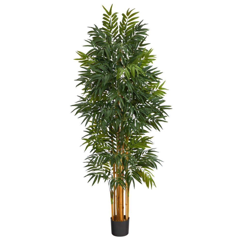 5.5ft. Phoenix Artificial Palm tree with Natural Trunk. Picture 1