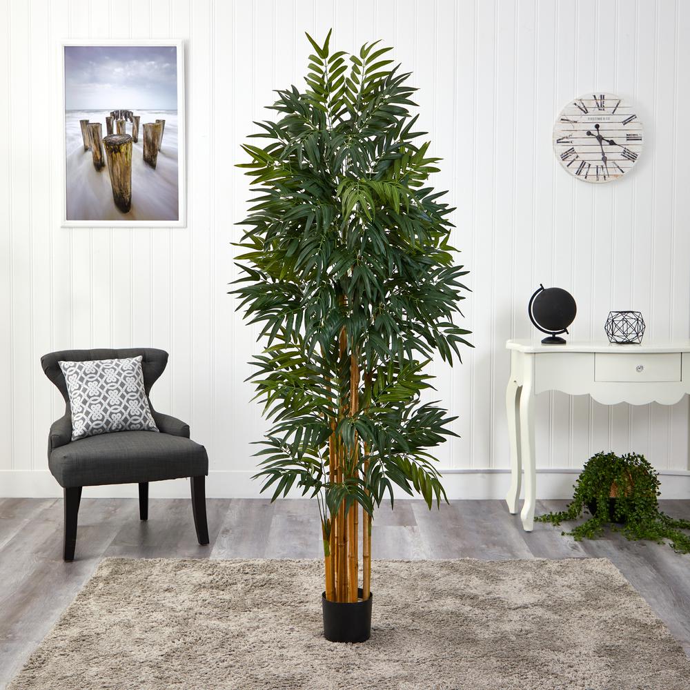 5.5ft. Phoenix Artificial Palm tree with Natural Trunk. Picture 3