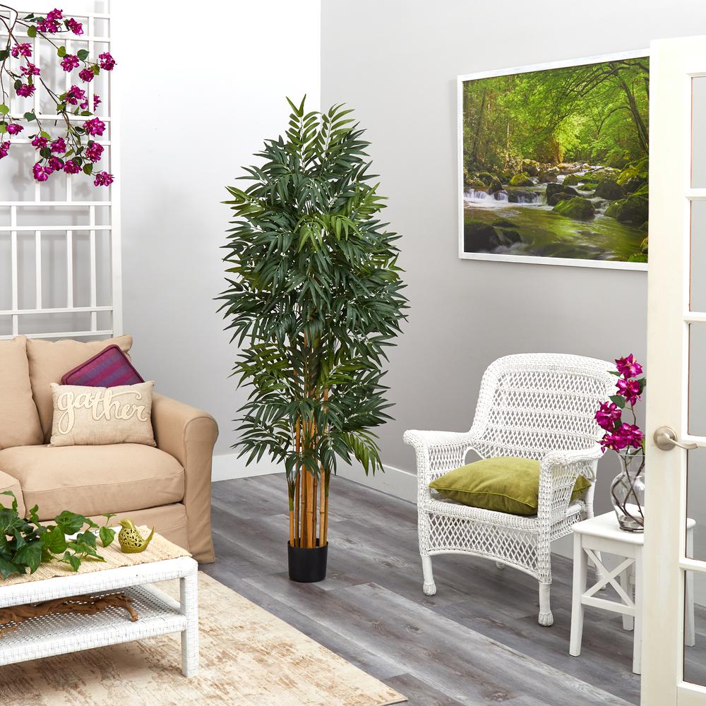 5.5ft. Phoenix Artificial Palm tree with Natural Trunk. Picture 4